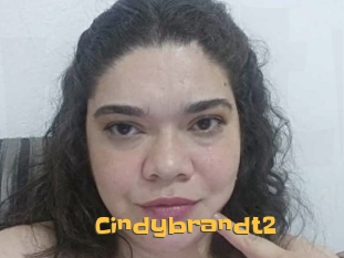 Cindybrandt2