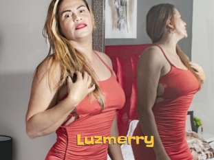 Luzmerry